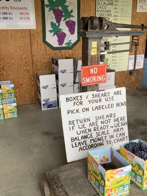 Jerome's U-Pick Fruit Farm by null