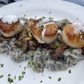 Maestro Restaurant - Scallops - Cocktail Bars Near Me - Pasadena, California Maestro Restaurant - Scallops - Cocktail Bars Near Me - Pasadena, California