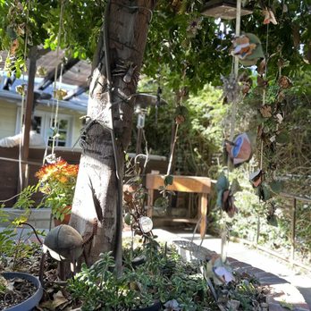 SunCafe - Wishing Tree - Vegan Near Me - Studio City, California SunCafe - Wishing Tree - Vegan Near Me - Studio City, California