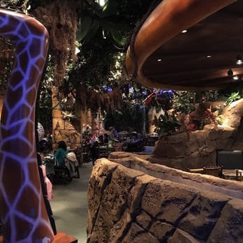 Rainforest Café - Restaurant view - Modern European Near Me - Marne-la-Vallee, 75 Rainforest Café - Restaurant view - Modern European Near Me - Marne-la-Vallee, 75