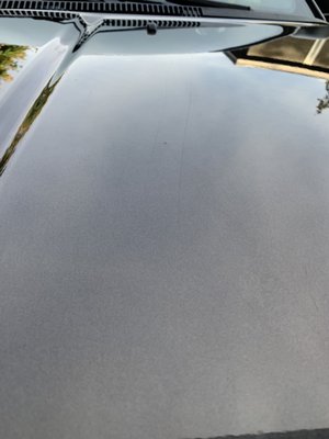 Elephant Car Wash by null