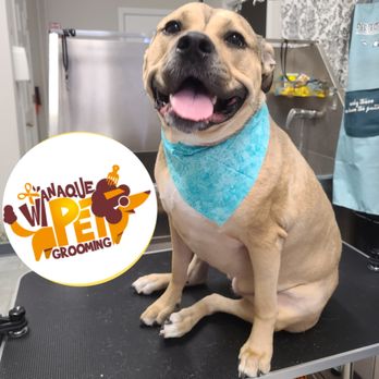 Wanaque Pet Grooming - Pet Groomers Near Me - Wanaque, New Jersey