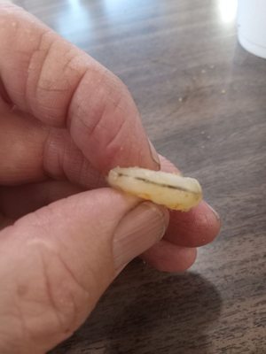 Zorba's Charbroiled Burgers by null