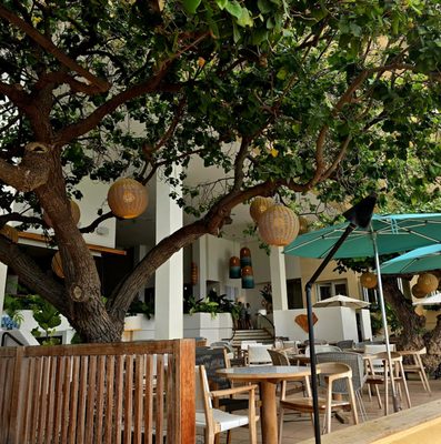 Kaimana Beach Hotel by null