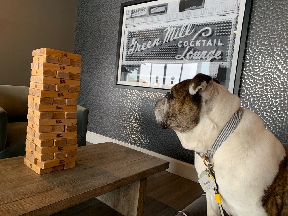 4 PAWS 4 U 4 EVER Updated August 2024 West Chicago, Illinois