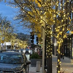 Sushi Nest - Outside of restaurant it's beautiful the street are decorated with lights!