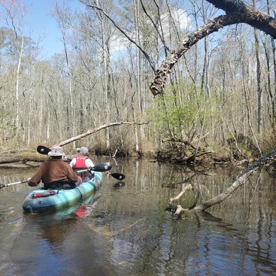 Adventure Kayak & Stand Up Paddleboard by null