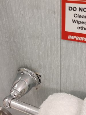 American Cruise Lines by null