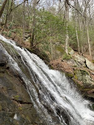 Deep Creek Trail Trailhead by null