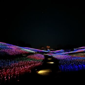 Sensorio - Field of lights - Art Galleries Near Me - Paso Robles, California