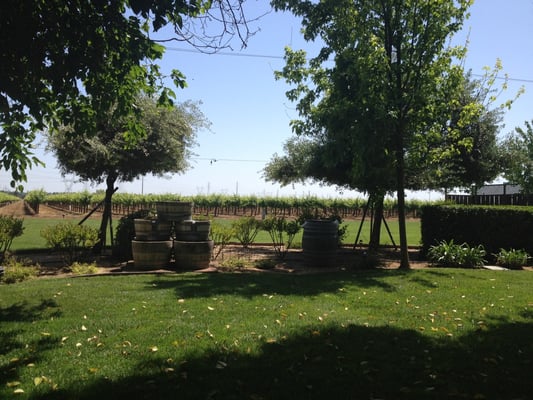 McConnell Estates Winery by null
