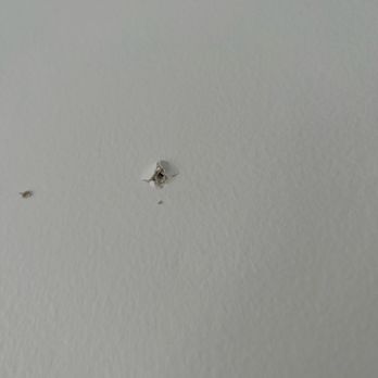 EDEN Interiors - Damage to walls from screws. - Home Staging Near Me EDEN Interiors - Damage to walls from screws. - Home Staging Near Me