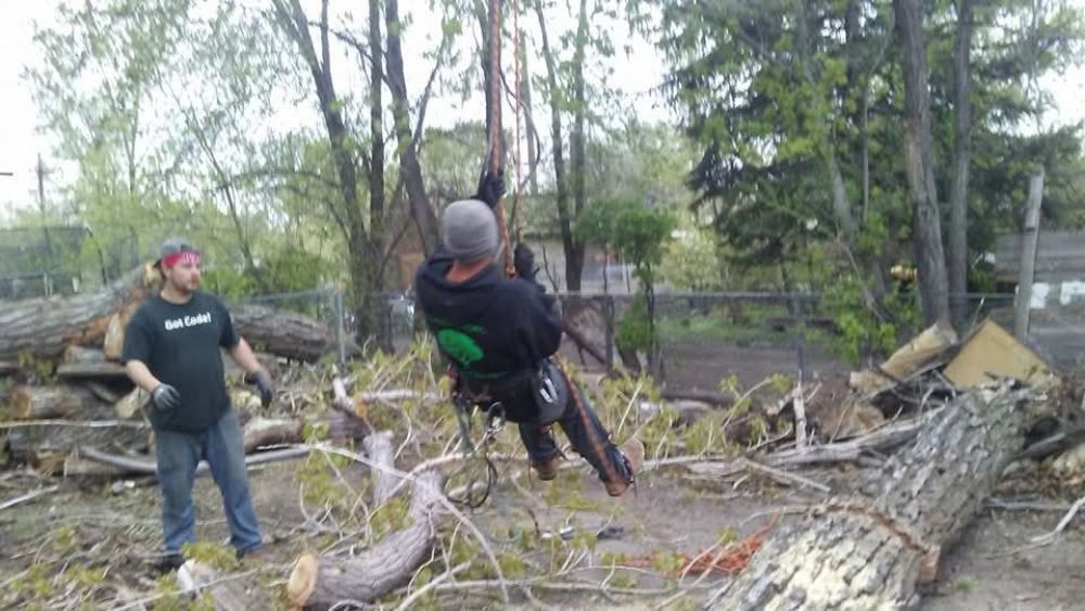 South Valley Tree - tree service in Millcreek, UT