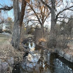Judge Joseph E Cook Park - On the foot bridge!
