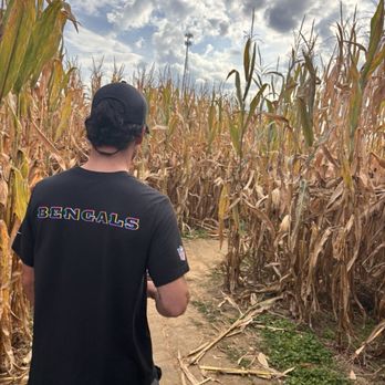 Kinman Farms - Corn maze (or path..) - Nurseries & Gardening Near Me - Burlington, Kentucky Kinman Farms - Corn maze (or path..) - Nurseries & Gardening Near Me - Burlington, Kentucky