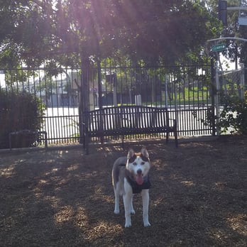 LA Live - The only shady spot located at the end of the large dog park. The small dog park has no shade. (2pm right now) - Dog Parks Near Me - Los Angeles, California LA Live - The only shady spot located at the end of the large dog park. The small dog park has no shade. (2pm right now) - Dog Parks Near Me - Los Angeles, California