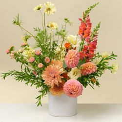 Native Poppy - Extra Arranged Flowers.