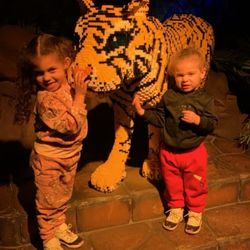 LEGOLAND Discovery Center - Lego Tiger