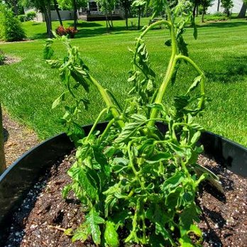 Turf Care Enterprises Inc - Landscaping Near Me - Barrington, Illinois