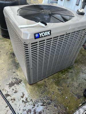 Only Foster Home Services