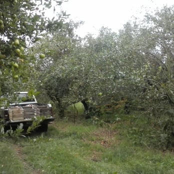 Rusty Acres Orchard - an old truck in the middle of an orchard - Fruits & Veggies Near Me - Connersville, Indiana Rusty Acres Orchard - an old truck in the middle of an orchard - Fruits & Veggies Near Me - Connersville, Indiana