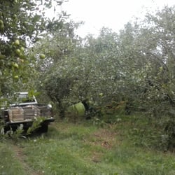 Rusty Acres Orchard