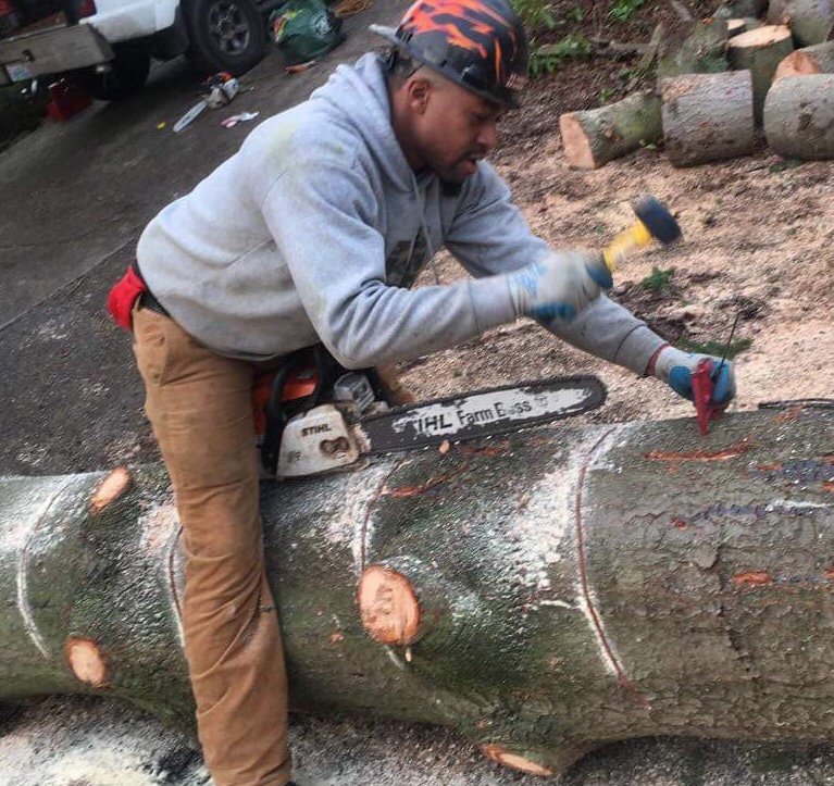 SAUNDERS TREE SERVICE Updated September 2024 Shoreline, Washington