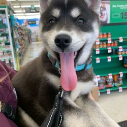 Pet Supplies Plus Littleton
