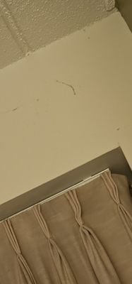 Grand Harbor Resort and Waterpark by null