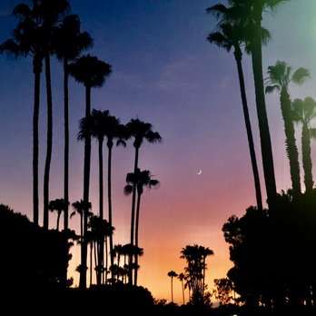 Trish Mercurio | Compass - Real Estate Agents Near Me - San Diego, California Trish Mercurio | Compass - Real Estate Agents Near Me - San Diego, California
