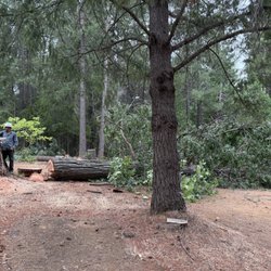 Kurt's Tree Service - There's Kurt and Fernando after the huge cedar was down.