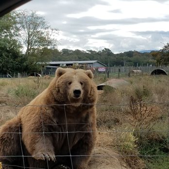 Olympic Game Farm - Zoos Near Me - Sequim, Washington