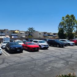 Avis - All the cars.