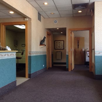 Chicago Cat Clinic - View from the waiting area. - Veterinarians Near Me - Chicago, Illinois