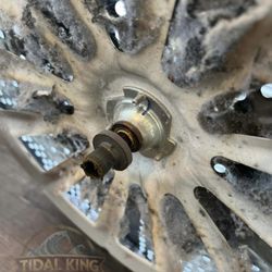 Tidal King Appliance Services