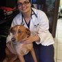 Photo of East Bay Veterinary Clinic