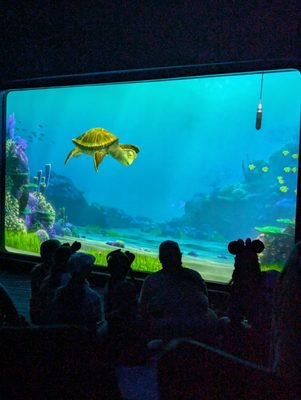 Turtle Talk with Crush by null