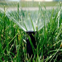 Suburban Lawn Sprinkler