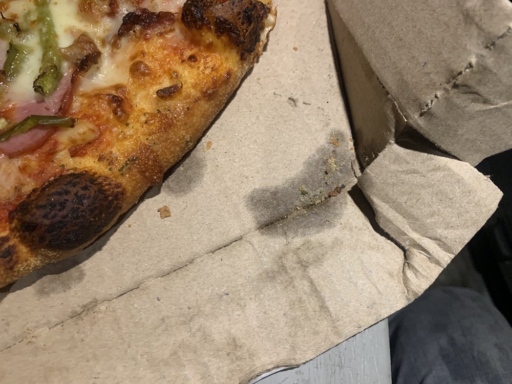Domino's Pizza Logo