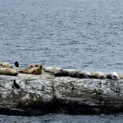 Portland Discovery Land & Sea Tours