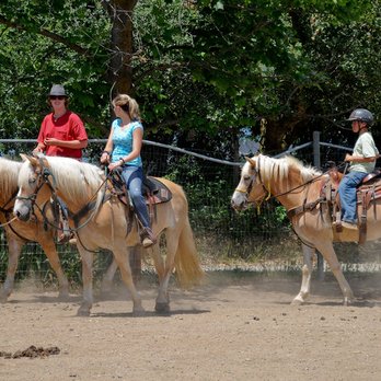 California Haflingers - Horseback Riding Near Me - Redding, California