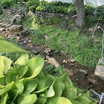 Butterscotch Pastry Shop - Lush stream side landscaping - Coffee & Tea Near Me - Birchrunville, Pennsylvania