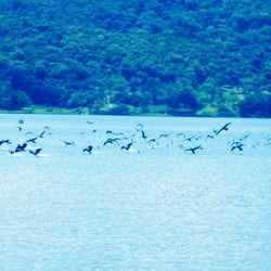 Lagoa Várzea das Flores