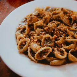 Hippo - Conchiglie