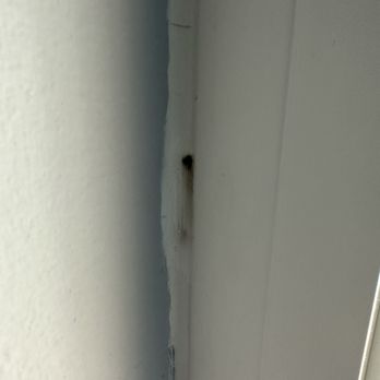 Window World - Orlando - Mold inside the caulk - Windows Installation Near Me - Orlando, Florida Window World - Orlando - Mold inside the caulk - Windows Installation Near Me - Orlando, Florida