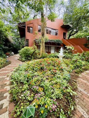 Sonya's Garden by null