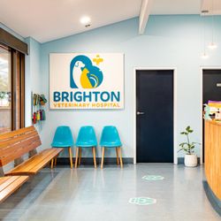 Brighton Veterinary Hospital - Brighton Vet Hospital Reception