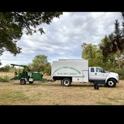 Bell's Tree Service