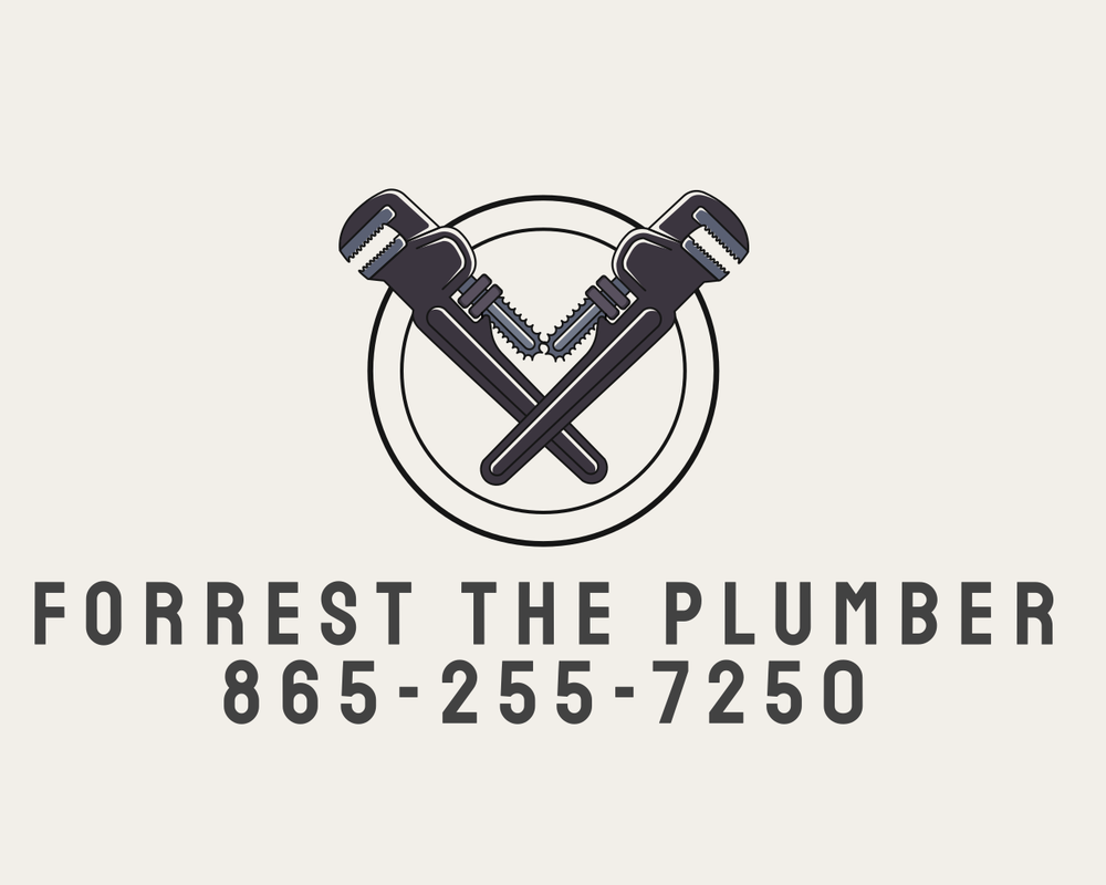 Slide of Forrest The Plumber