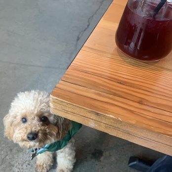 Flores Corte Madera - Dog friendly dining! - Mexican Near Me - Corte Madera, California